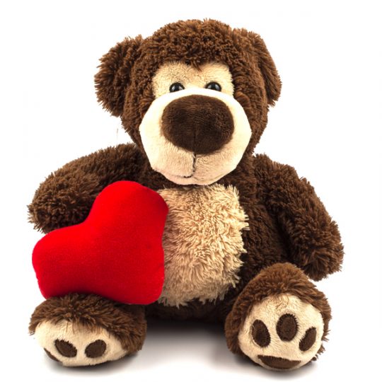 Teddy Bears with Heart